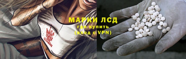 хмурый Бородино