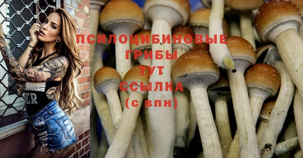 мдма Дмитровск