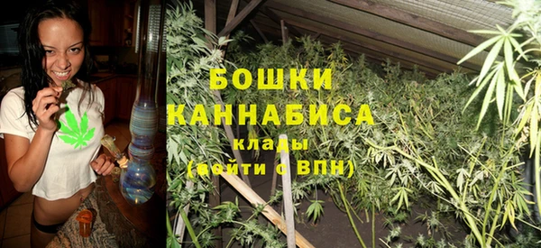 хмурый Бородино