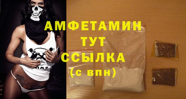гидра Дмитров
