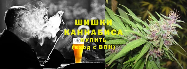 хмурый Бородино