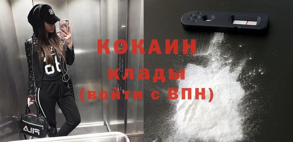 хмурый Бородино