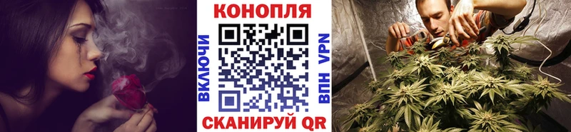 darknet состав  Истра  Шишки марихуана индика 